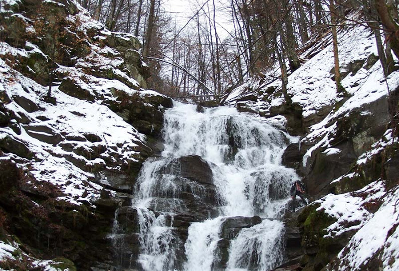 Описание изображения